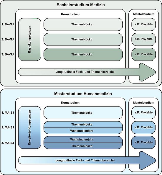 Aufbau Curriculum - Longitudinale Studienbereiche